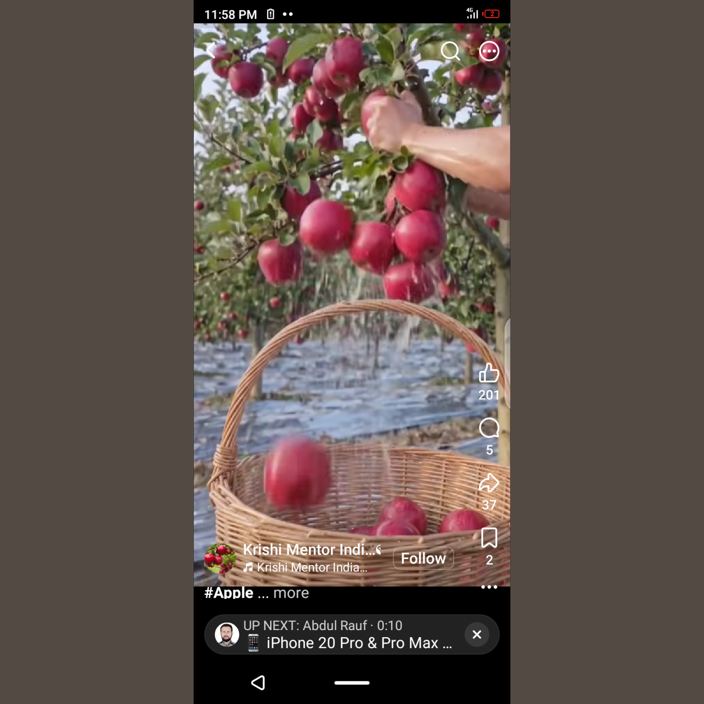 Fresh Red Apple, — photo 2